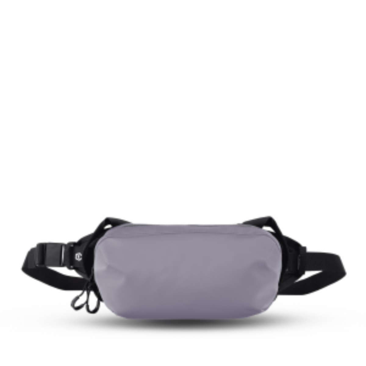 【Wandrd】D1 Fanny Pack 防水腰包 2.5L|多功能設計