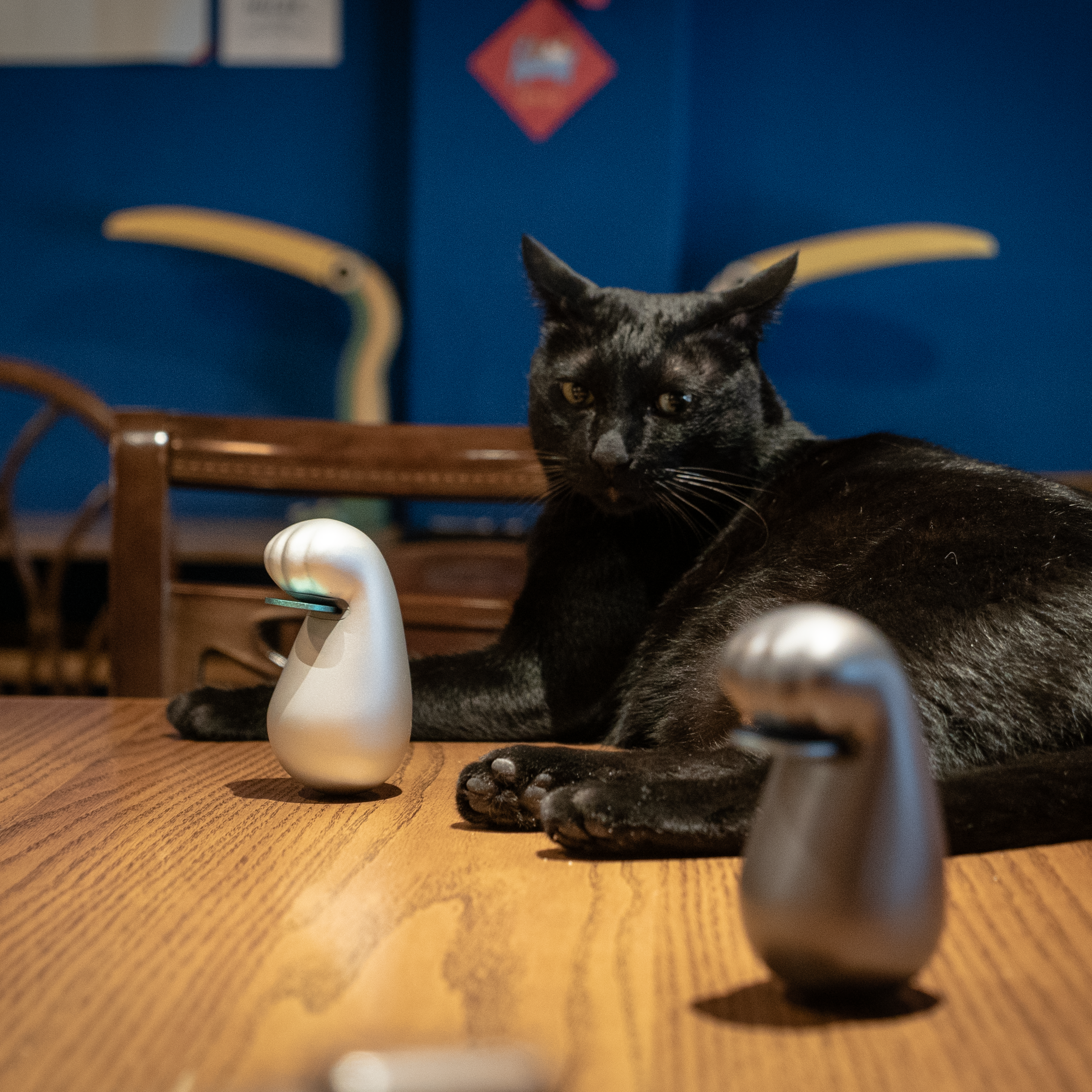 【Zenlet】Lucky Neko 幸運貓貓